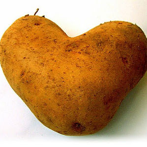 Meet your Posher, Layla